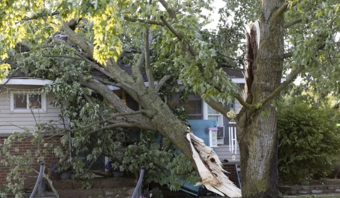 WhatsApp Image 2025-07-20 at 10.51.38