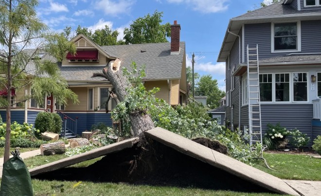 WhatsApp Image 2025-07-20 at 10.51.39