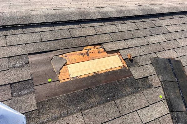 WhatsApp Image 2025-07-18 at 23.44.00